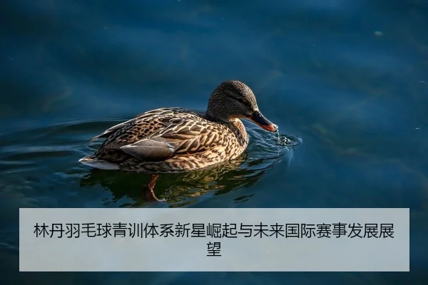 林丹羽毛球青训体系新星崛起与未来国际赛事发展展望